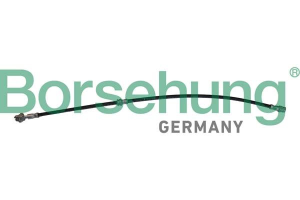 Borsehung B10952 Brake Hose