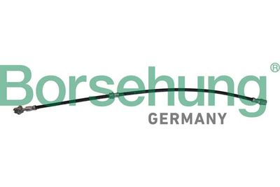Brake Hose Borsehung B10952