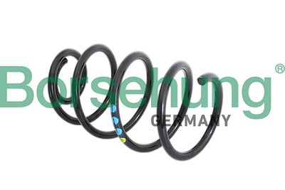 Suspension Spring Borsehung B11089