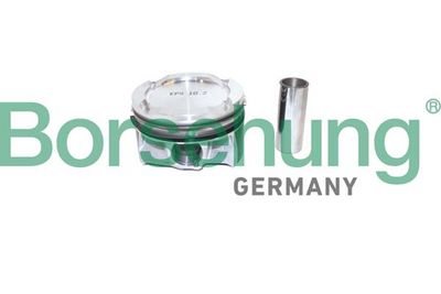 Piston Borsehung B11137