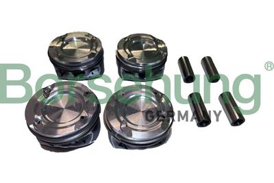 Piston Borsehung B11139