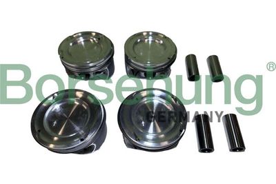 Piston Borsehung B11141