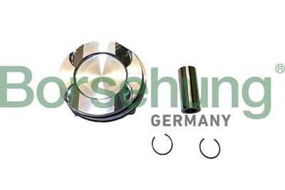 Piston Borsehung B11146
