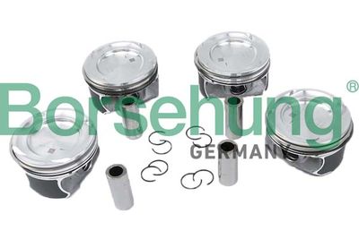 Piston Borsehung B11149