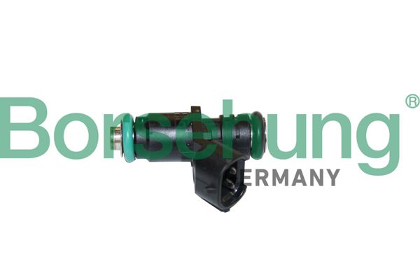 Borsehung B11165 Injector
