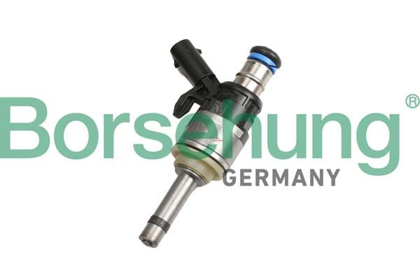 Borsehung B11168 Injector