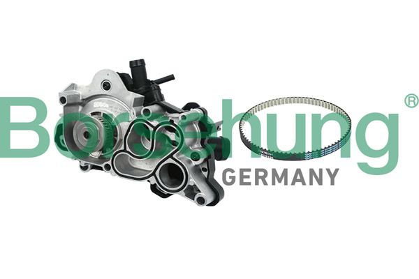 Borsehung B11207 Water Pump, engine cooling