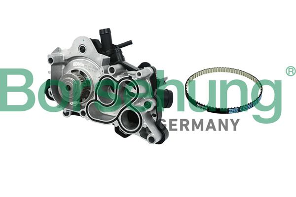 Borsehung B11208 Water Pump, engine cooling