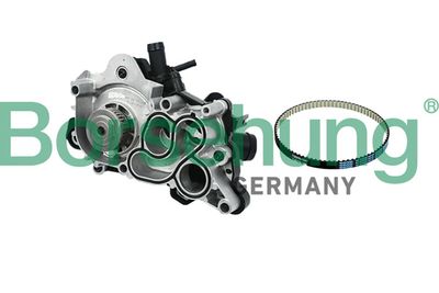 Water Pump, engine cooling Borsehung B11208