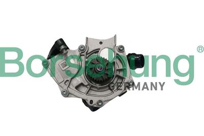 Water Pump, engine cooling Borsehung B11209