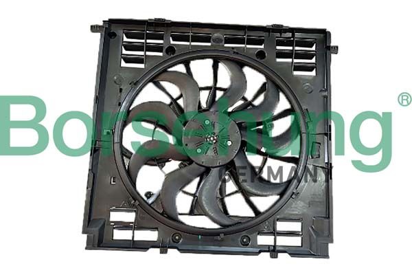 Borsehung B11270 Fan, engine cooling