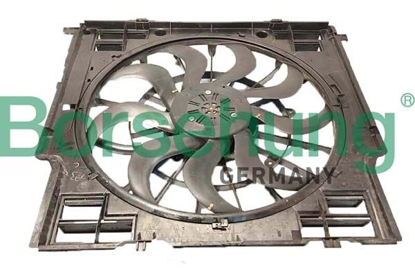 Borsehung B11271 Fan, engine cooling