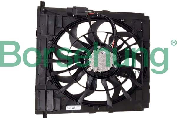 Borsehung B11273 Fan, engine cooling