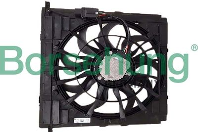 Fan, engine cooling Borsehung B11273