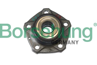 Wheel Bearing Kit Borsehung B11286