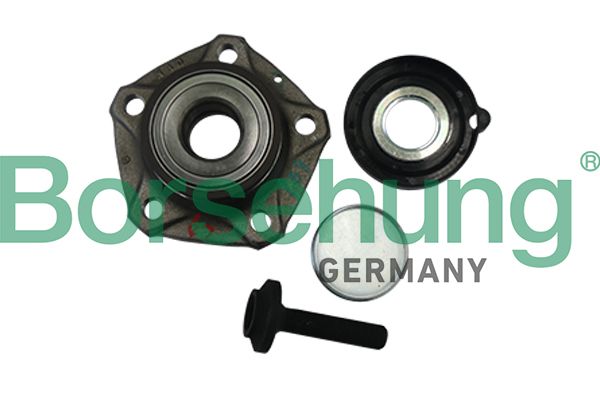 Borsehung B11288 Wheel Bearing Kit
