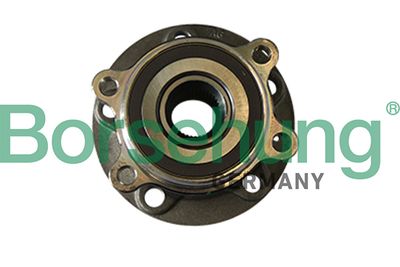 Wheel Bearing Kit Borsehung B11290