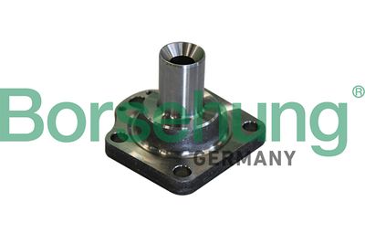 Wheel Hub Borsehung B11291