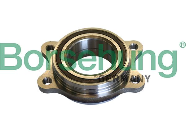 Borsehung B11292 Wheel Bearing Kit