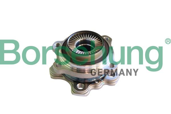 Borsehung B11293 Wheel Bearing Kit