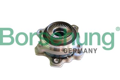 Wheel Bearing Kit Borsehung B11293