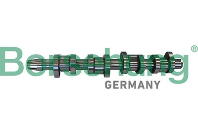 Camshaft Borsehung B11306