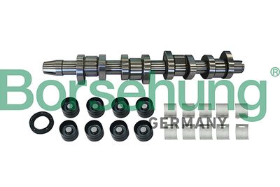 Camshaft Kit Borsehung B11307