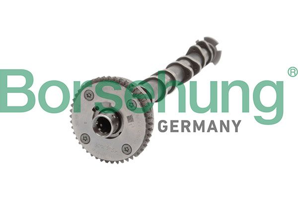 Borsehung B11319 Camshaft