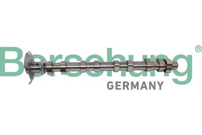 Camshaft Borsehung B11320