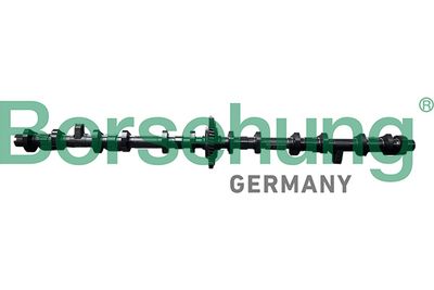 Camshaft Adjuster Borsehung B11325