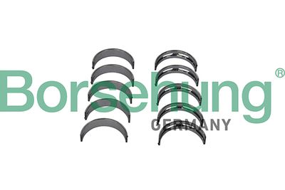 Crankshaft Bearing Borsehung B11329