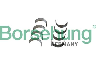 Connecting Rod Bearing Borsehung B11332
