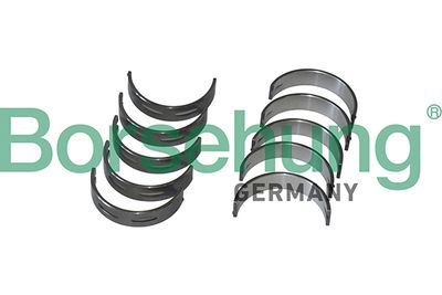 Crankshaft Bearing Borsehung B11333