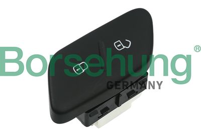 Switch, door lock system Borsehung B11427