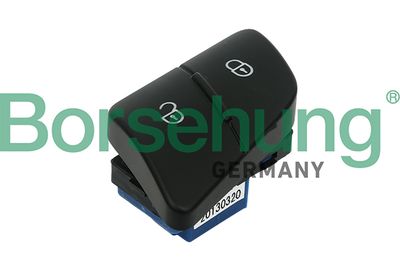 Switch, door lock system Borsehung B11429