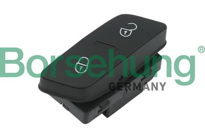 Switch, door lock system Borsehung B11433