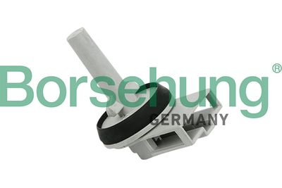 Sensor, evaporator temperature Borsehung B11447