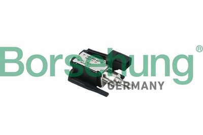 Switch, door lock system Borsehung B11508