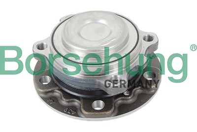 Wheel Bearing Kit Borsehung B11711