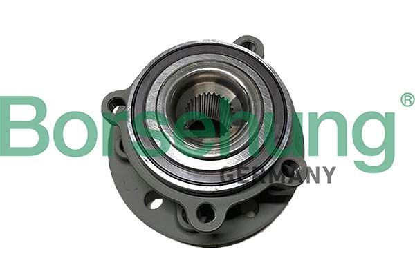 Borsehung B11717 Wheel Bearing Kit