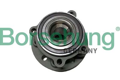 Wheel Bearing Kit Borsehung B11717
