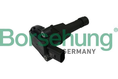 Sensor, engine oil level Borsehung B11841