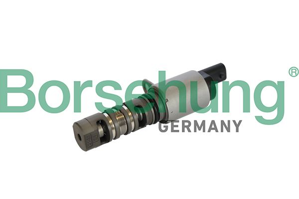 Borsehung B11866 Central Valve, camshaft adjustment