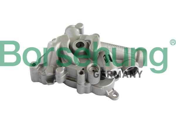 Borsehung B11899 Oil Pump