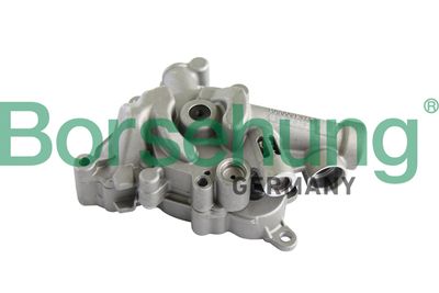 Oil Pump Borsehung B11899