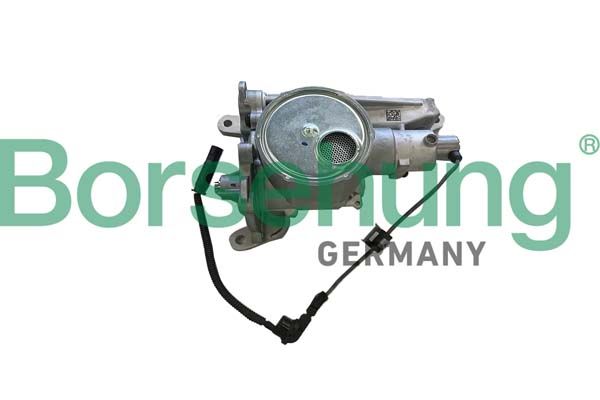 Borsehung B11900 Oil Pump