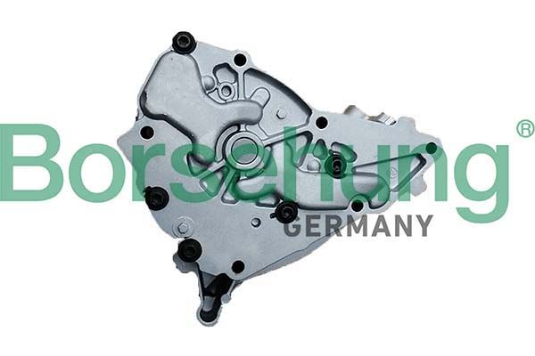 Borsehung B11902 Oil Pump