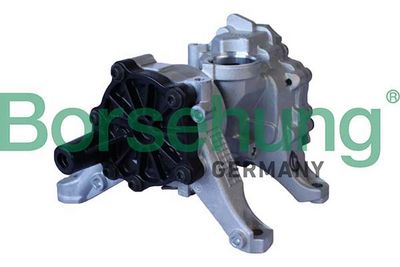 Oil Pump Borsehung B11903