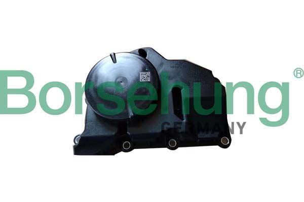 Borsehung B11920 Oil Separator, crankcase ventilation