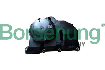 Oil Separator, crankcase ventilation Borsehung B11920